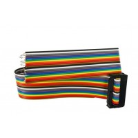 ZED-FULL 20 PIN ADAPTER CABLE (ZFH-C08)